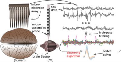 From End to End: Gaining, Sorting, and Employing High-Density Neural Single Unit Recordings